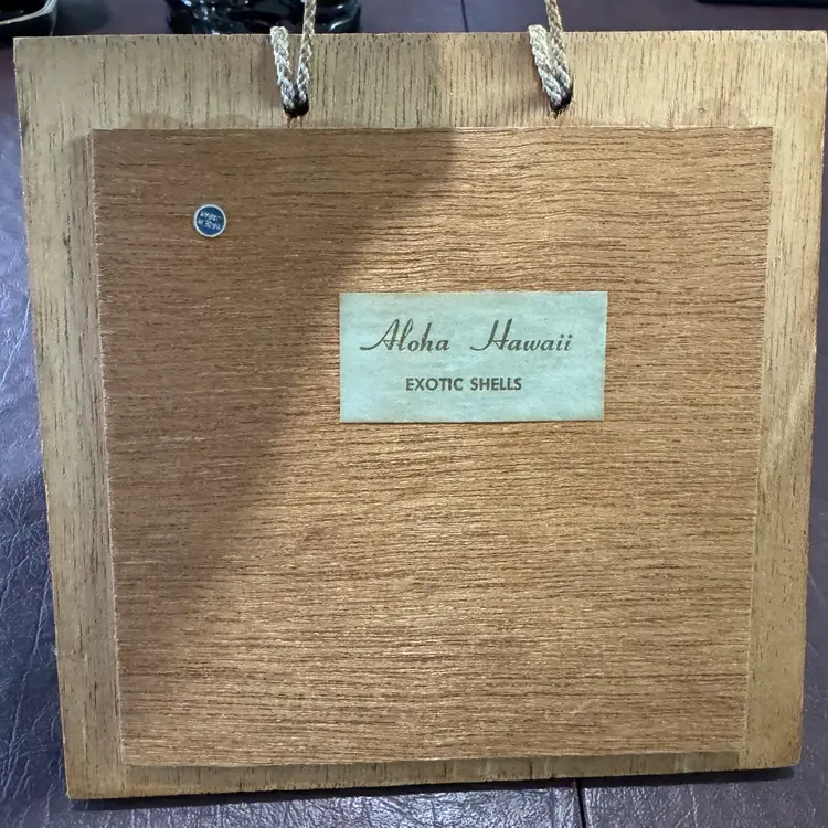 6” Framed 3D Shell Art Hawaii Souvenir Made I Japan