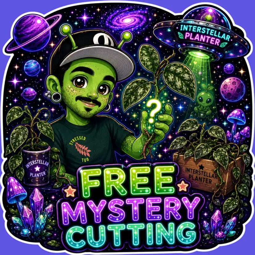 ✨mystery cutting✨