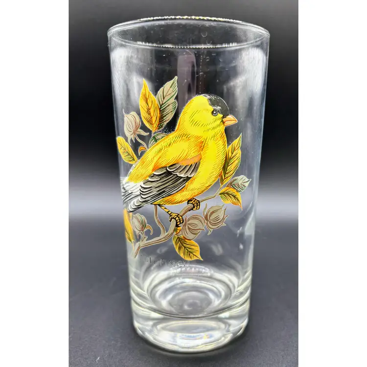 Vintage West Virginia Glass Co. Blue Jay and Goldfinch Tumblers