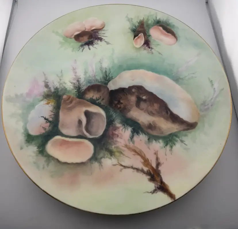 D C Limoges France Seashell Plate