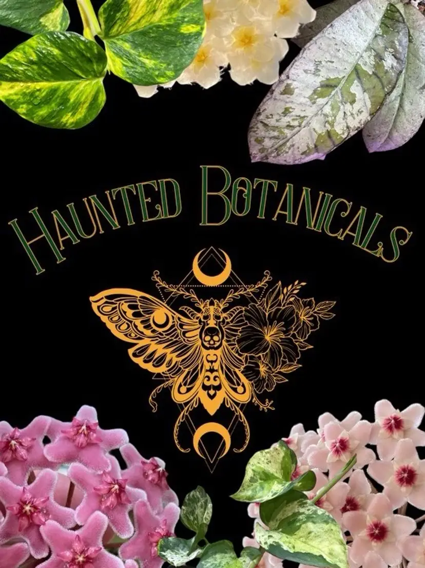 Livestream thumbnail