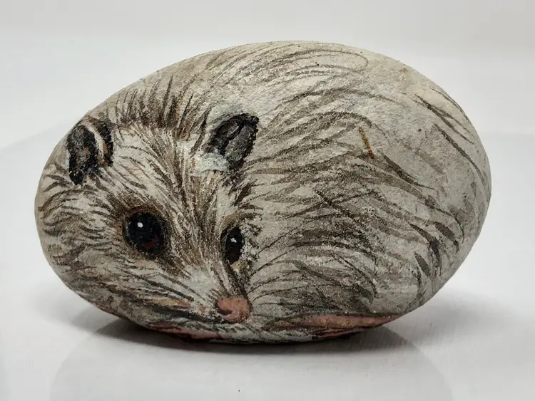 Painted Rock Opossum by Beverly