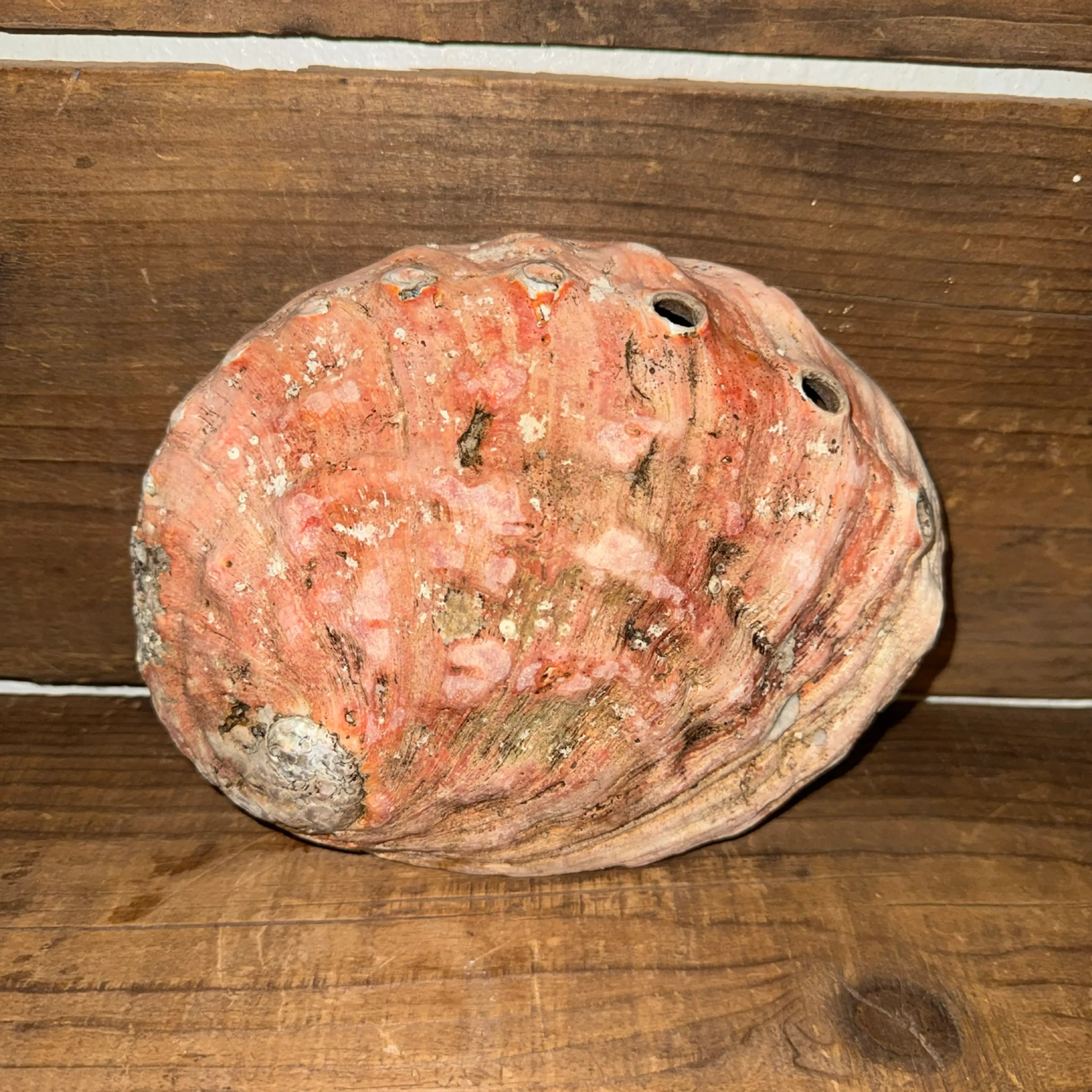 Image 4 of 7