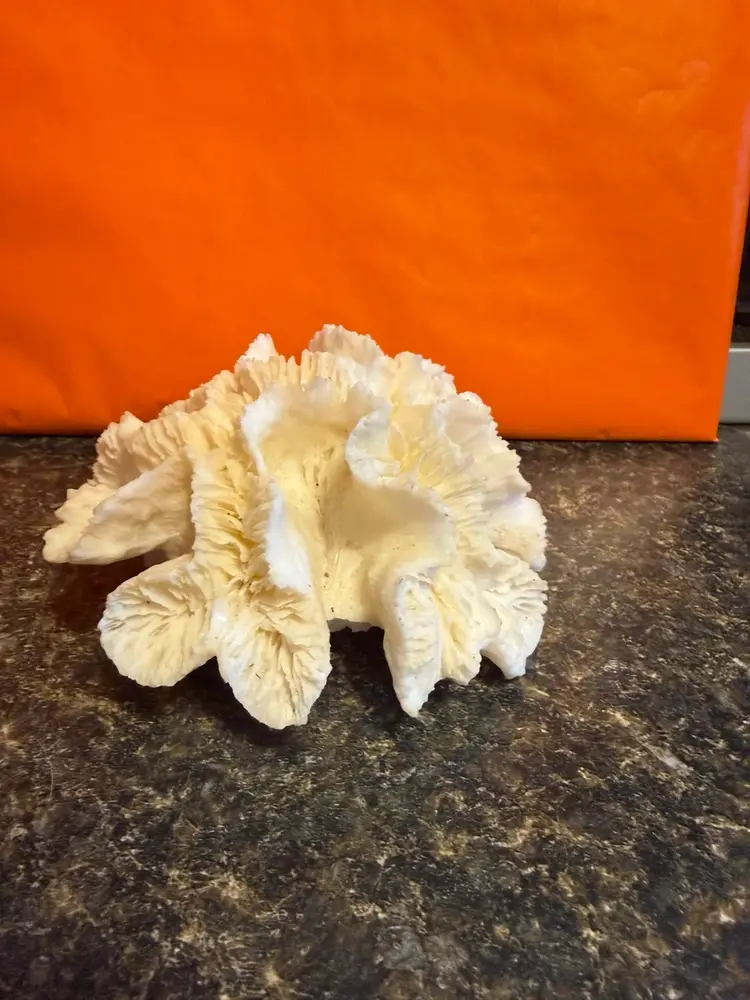 Decorator Coral Piece- Would Be Great For Jewelry Display