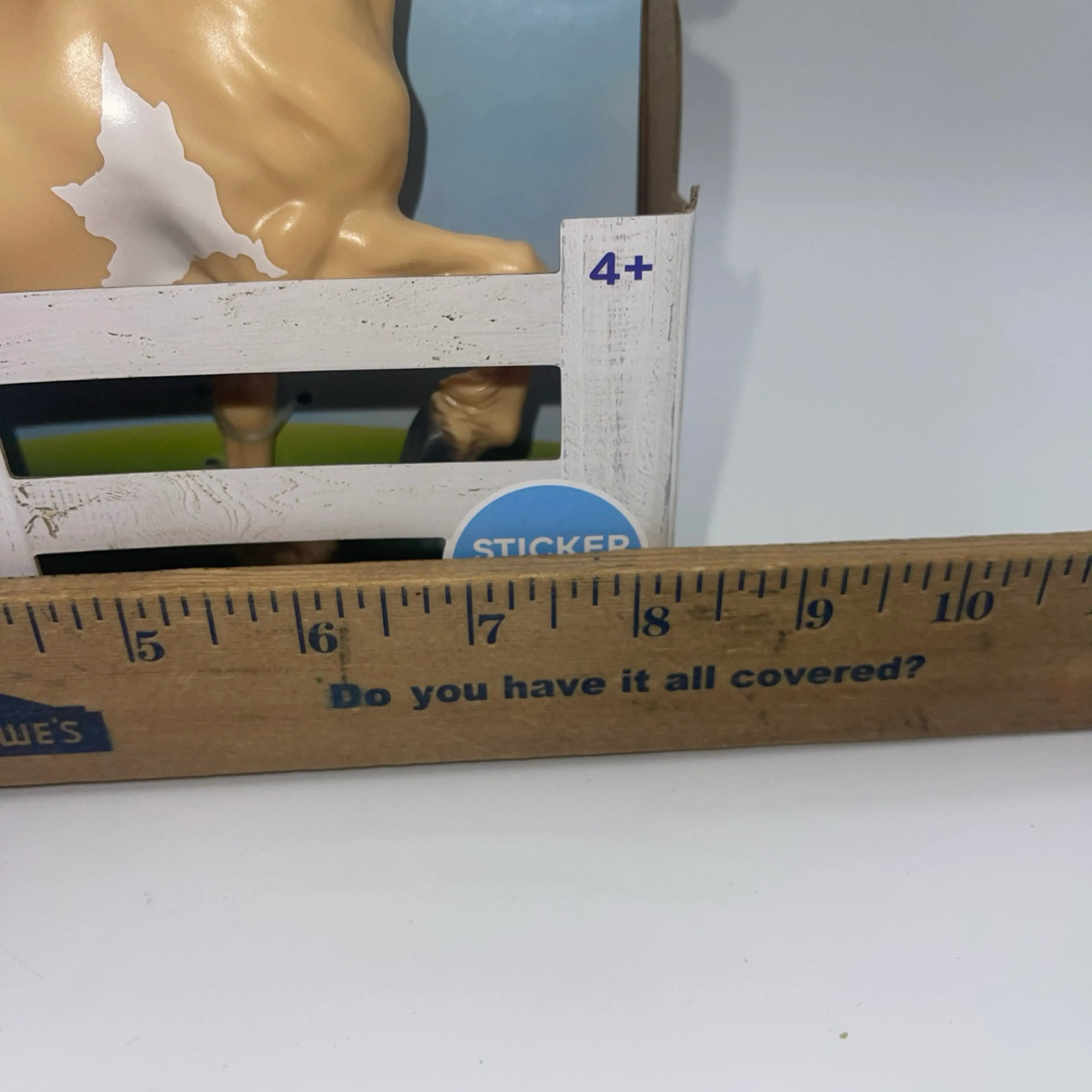 Image 5 of 5