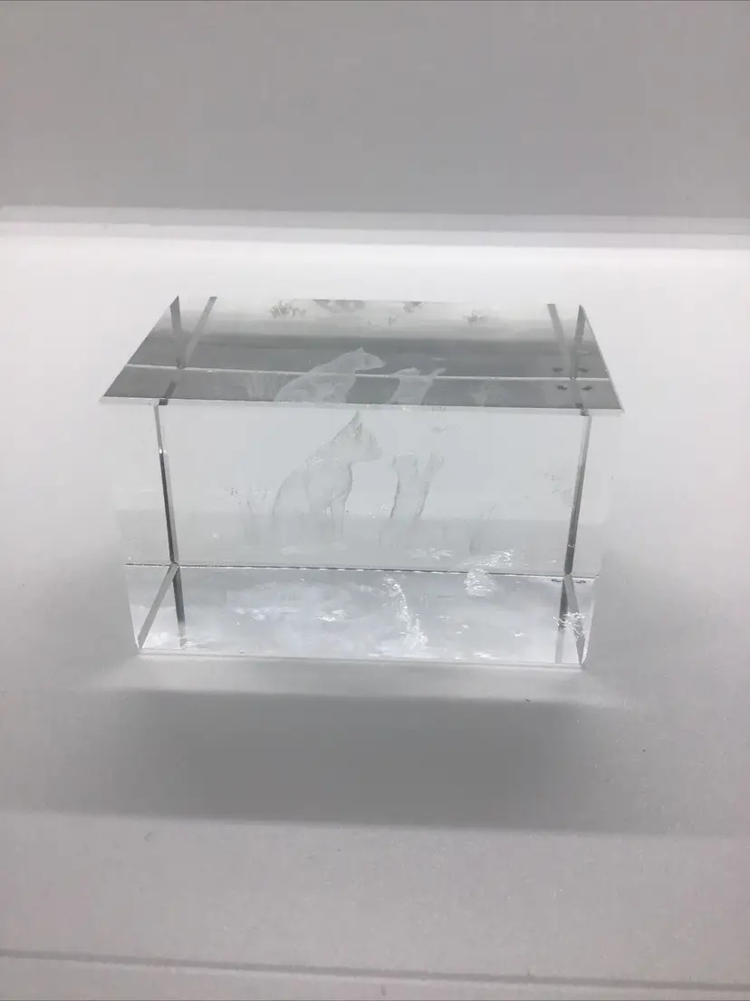 Mother Cat W/Kitten In Grass 3D Rectangle Laser Etched Crystal Glass Paperweight