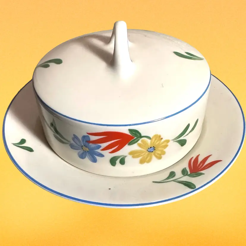 Vintage Bavaria Butter Dish Covered Floral Decoration Mid Century Ceramic Cheese Saver with Lid Farmhouse Charm