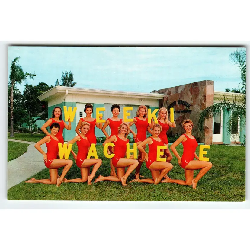 Weeki Wachee Mermaids Florida Postcard Ladies In Swimsuits Holding Letters Retro