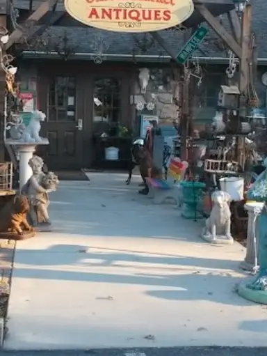 Live Shopping The $8 Section PLUS More! 