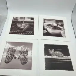 Lot Of 4 Vintage American Greetings Kitty Cards