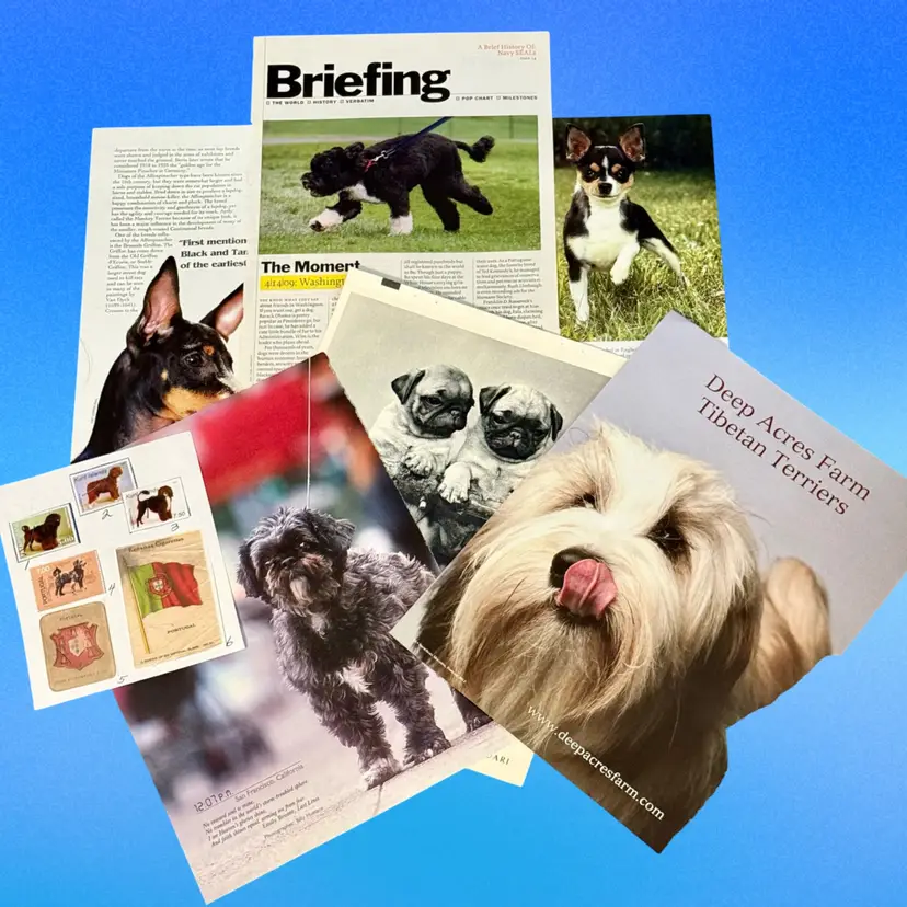Junk Journal Lot/7 Pieces Miscellaneous Dog Vintage Ephemera