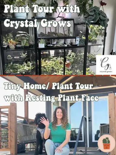 It’s A TWOfer - Tiny Home & Plant Tours!