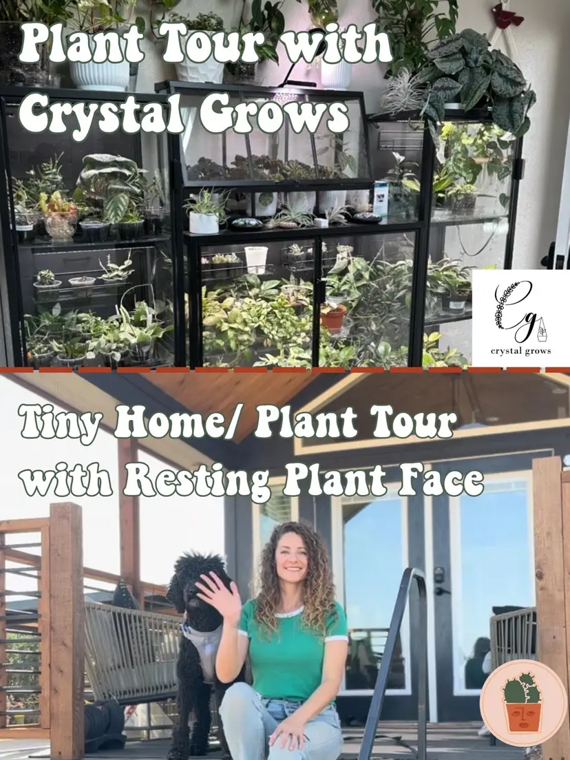 Livestream thumbnail