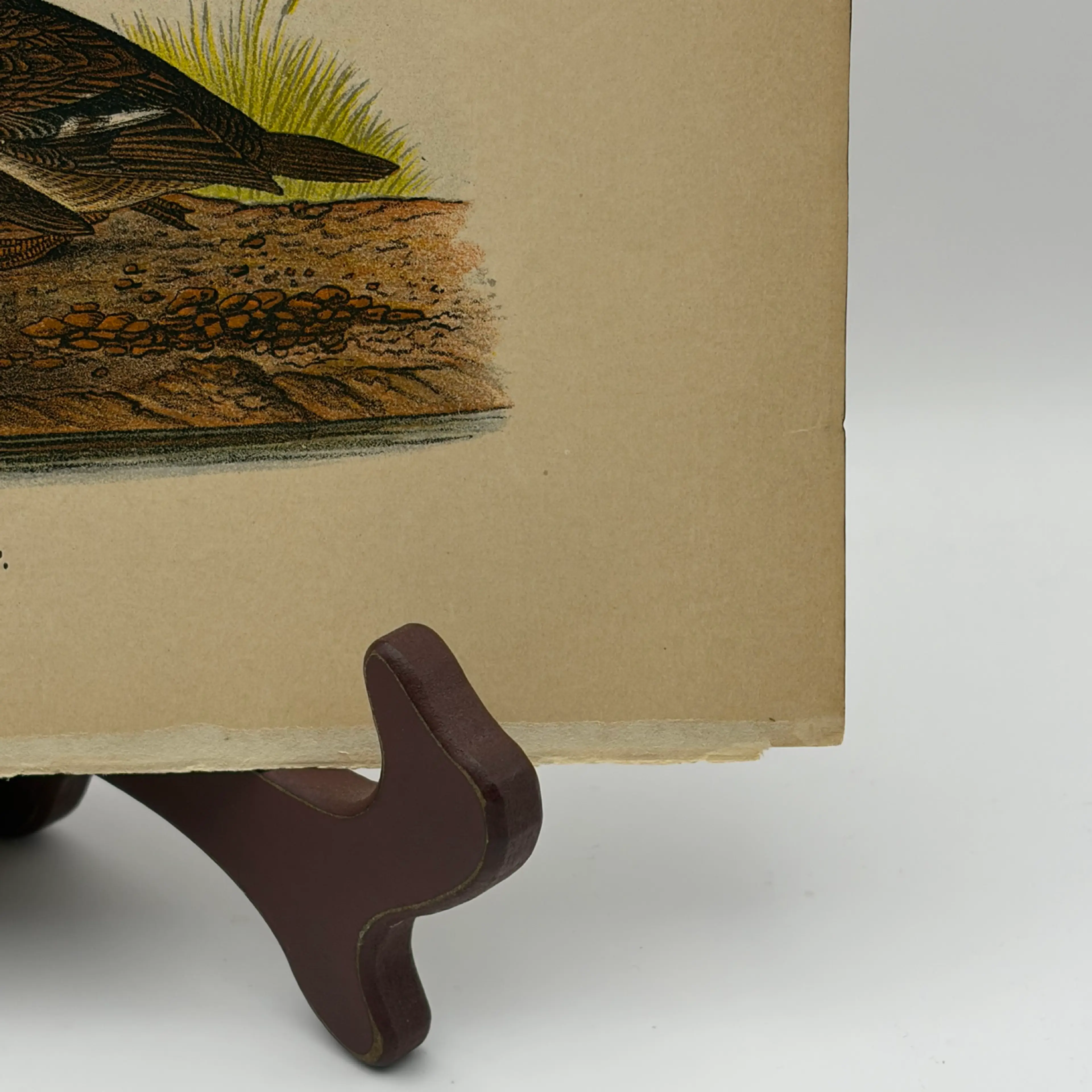 Image 4 of 9