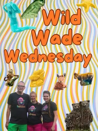 Wild Wade Wednesday 