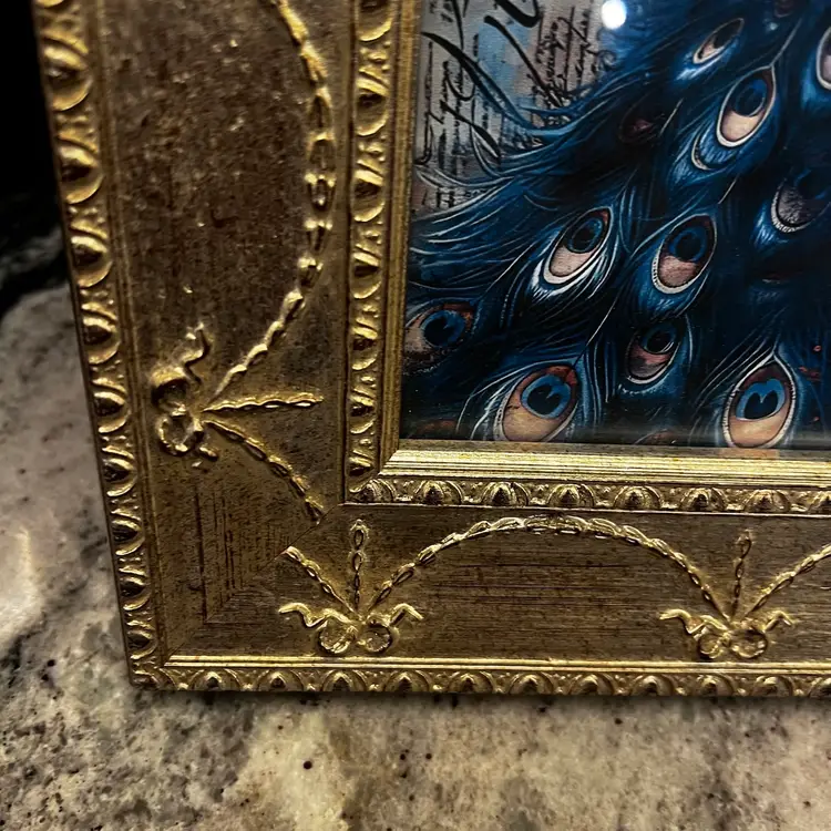 016 Up, cycled by me, Peacock picture framed art decor