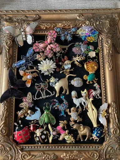 Animal And Bug Brooches-$5 Starts