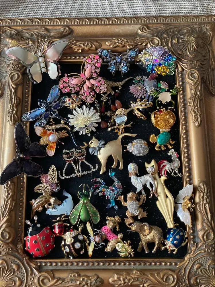 Animal And Bug Brooches-$5 Starts