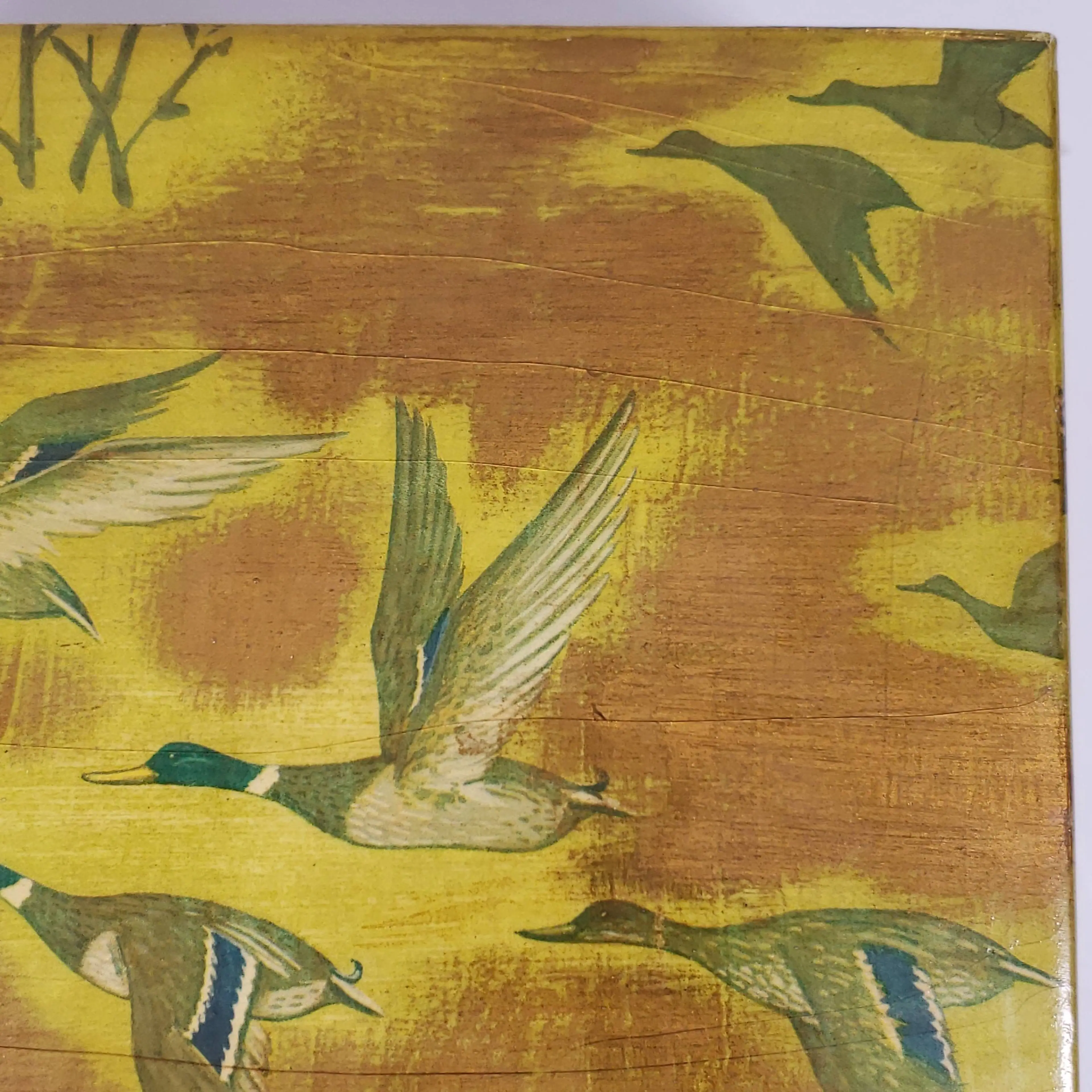 Image 4 of 20