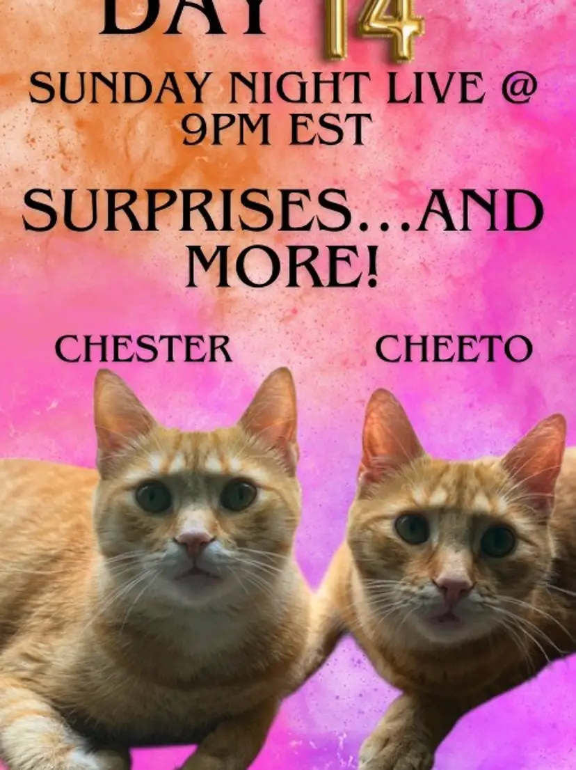 Livestream thumbnail