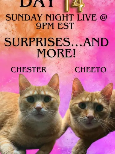 Day 14 Here We Go Again W/pickinpete&tracy