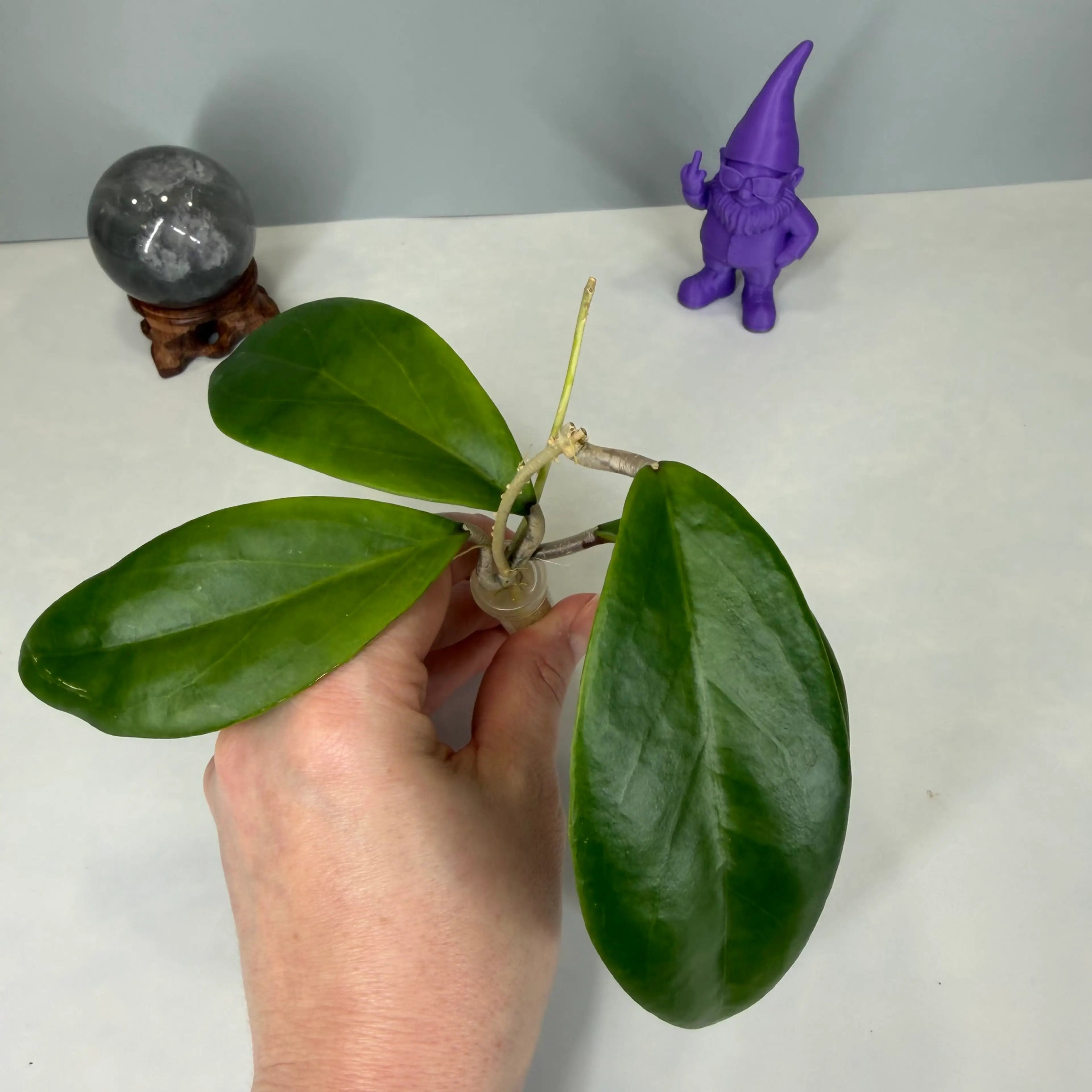 Image 3 of 4