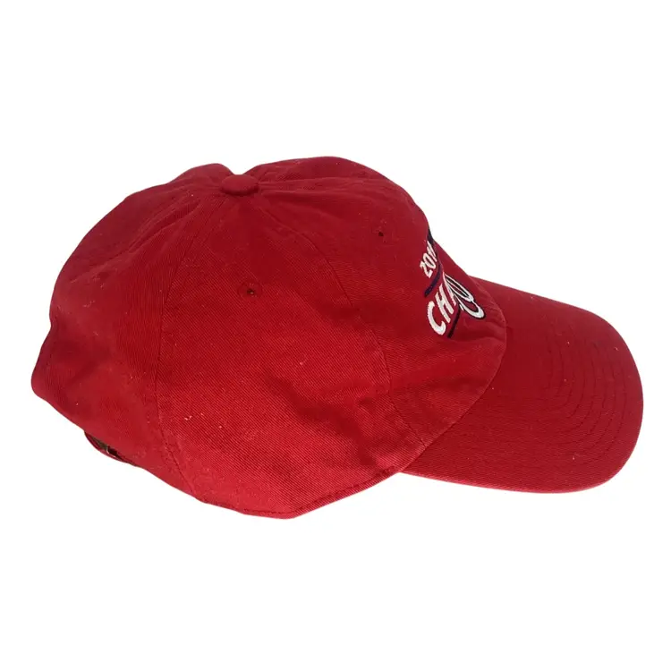 Washington Nationals 2019 World Series Champions Fitted Hat Cap 47