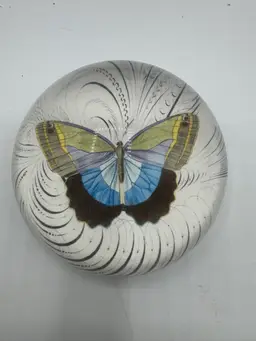 Vintage Domed Glass Butterfly Paperweight