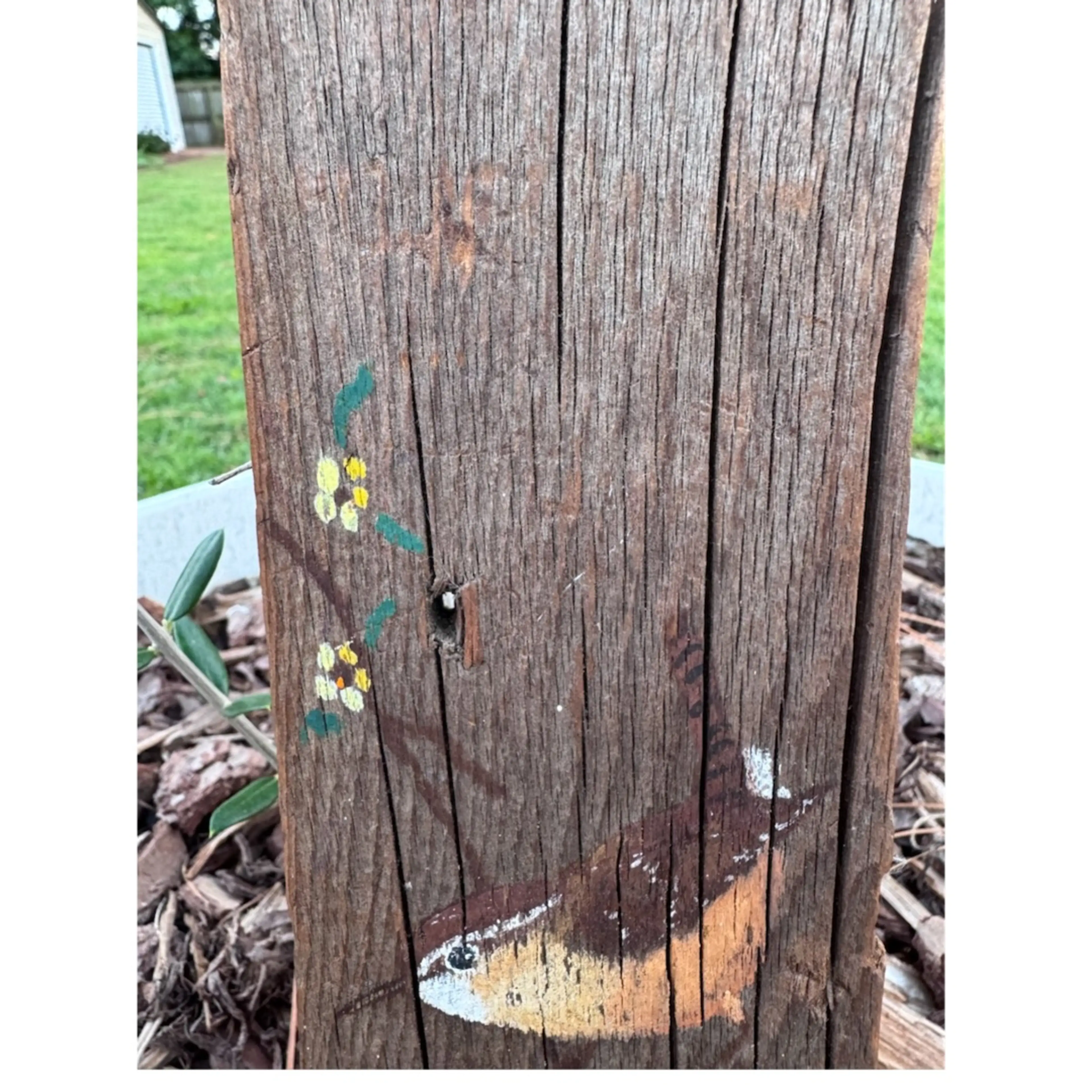 Image 4 of 4