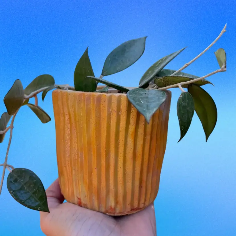 4” Yellow Turtle Neck Concrete Planter w/ Chip