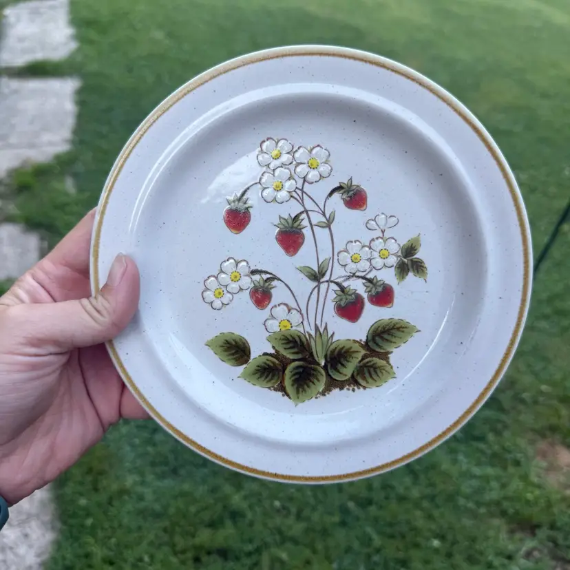 Vintage Momoyama Made In Japan Strawberry Daisy Decor Plate Boho Cottagecore 7”