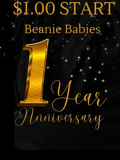 $1 START BEANIE BABIES Round 2