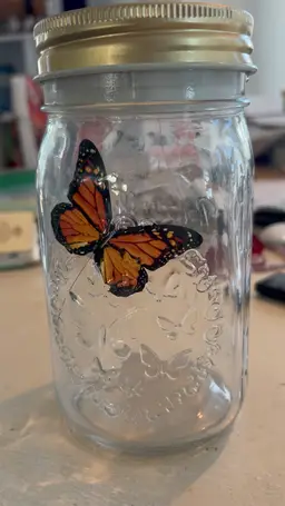 Butterfly Collection - Monarch In A Jar