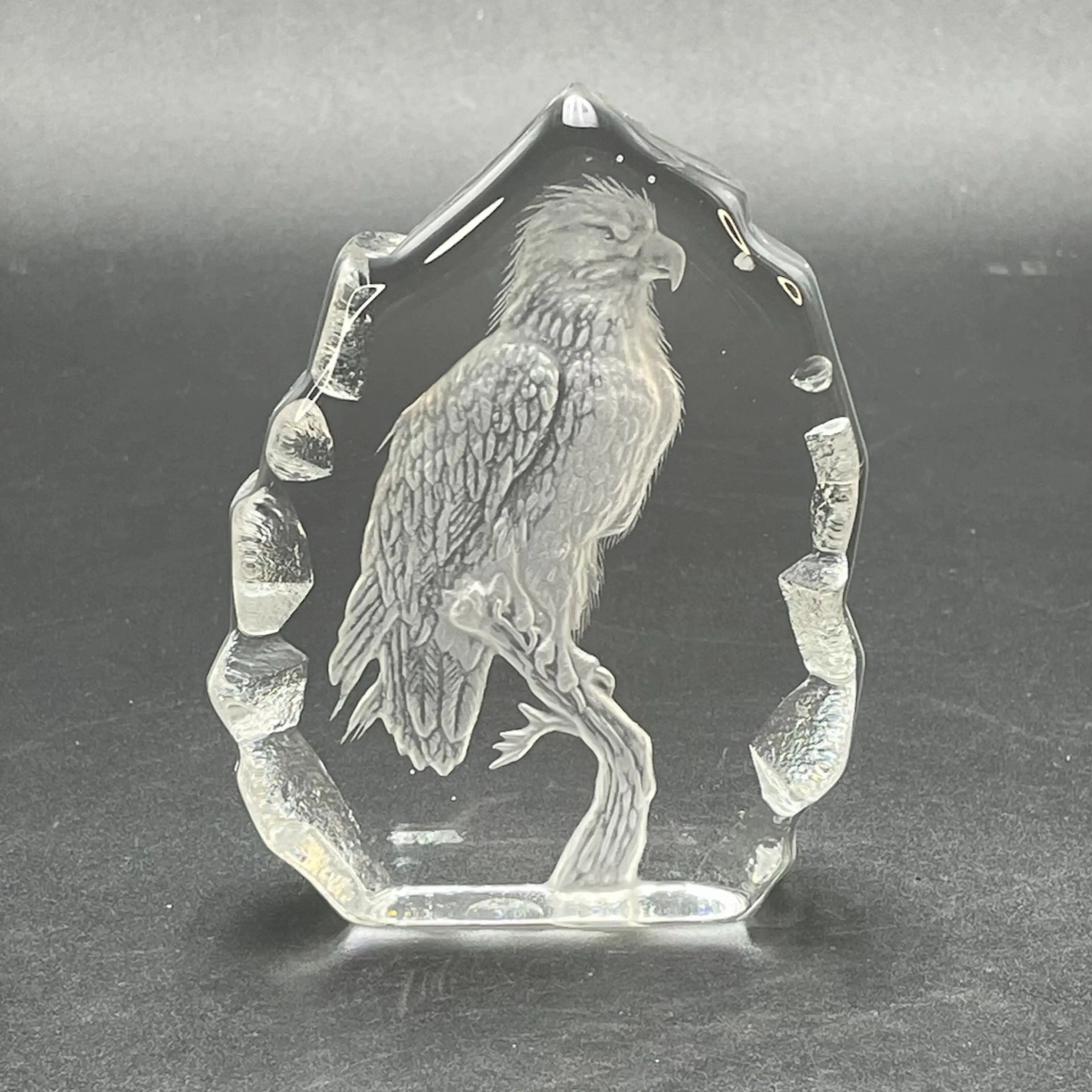 Image 1 of 14