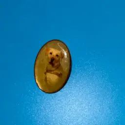 Vintage Labrador Dog Lapel Pin