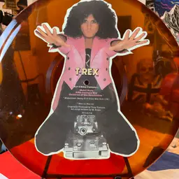 T-Rex Picture Disk (No Music On Vinyl)