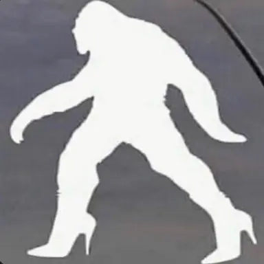 Junk in the Trunk Inc