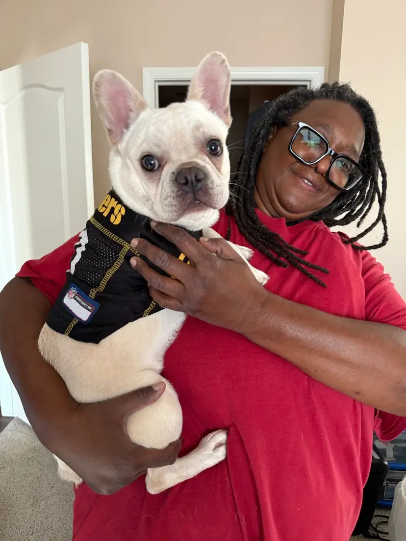 Livestream thumbnail