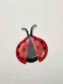 Ladybugminor (Michele)