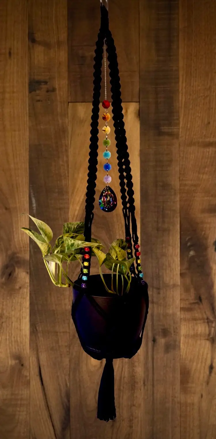 Rainbow Macrame Plant Hanger