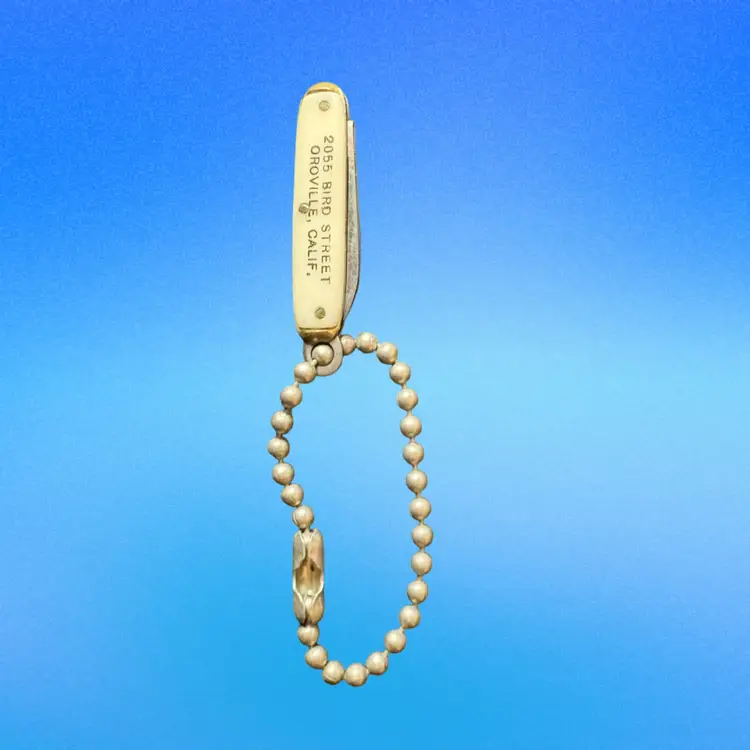 34 Advertising Picket Knife