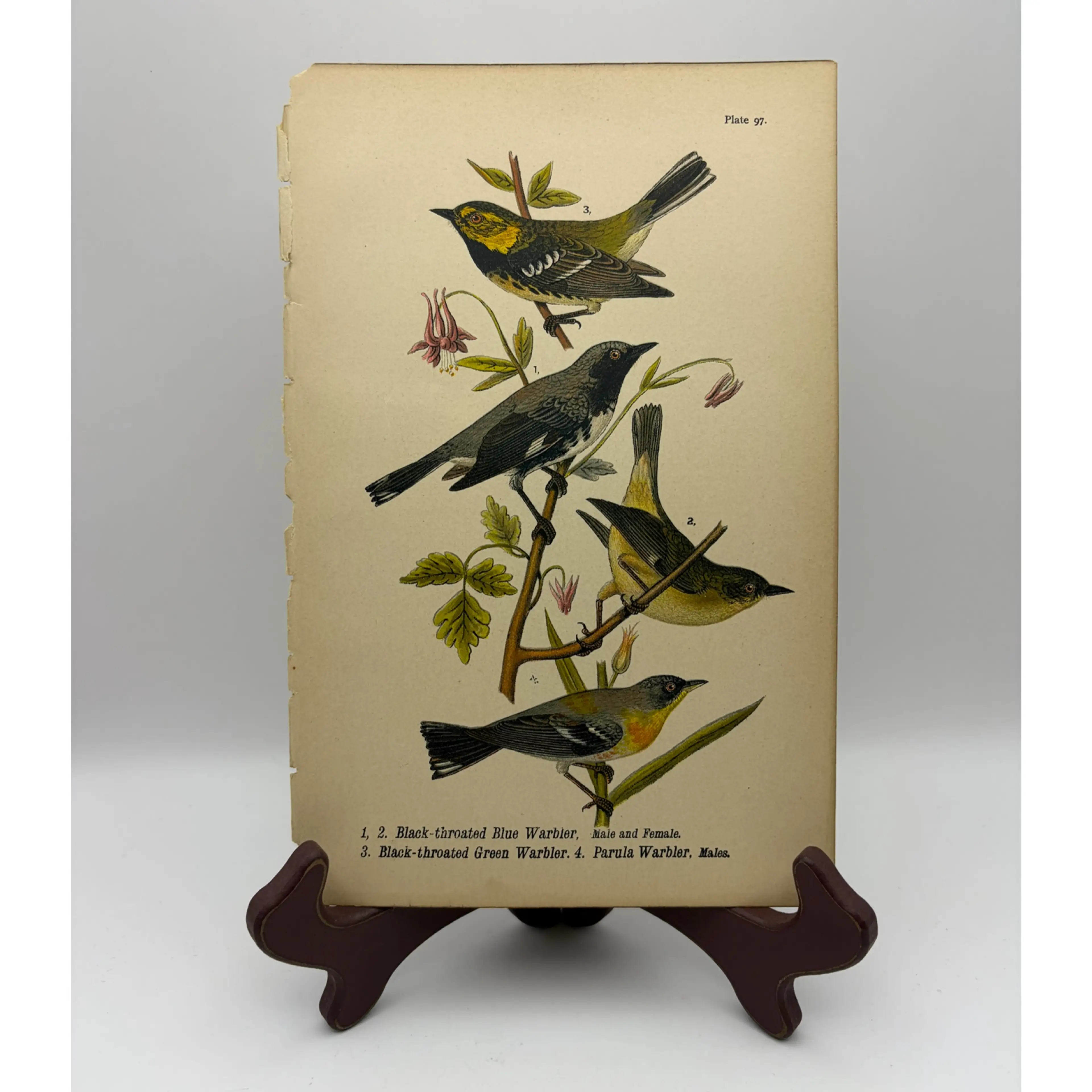Image 1 of 9