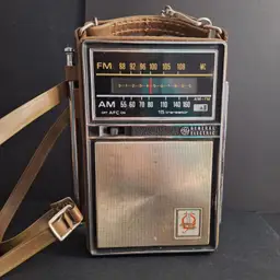 Vtg GE General Electric Portable Radio NICE AM/FM Transistor P-975F Works