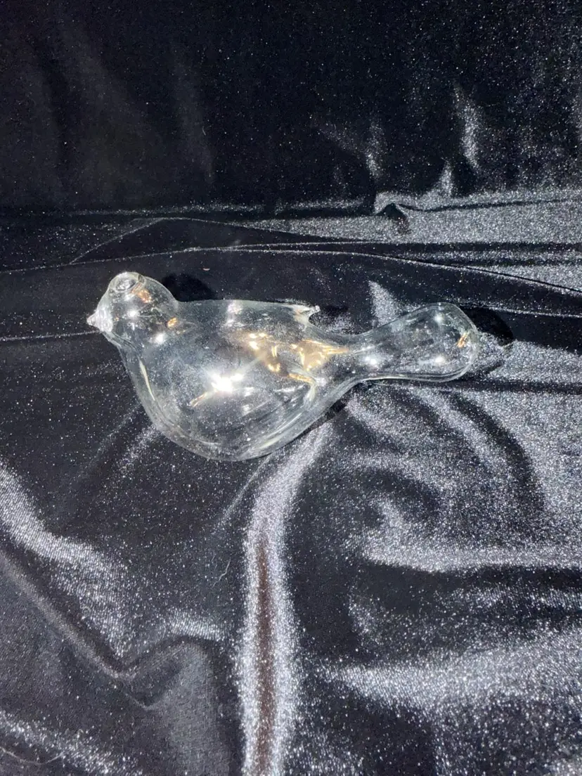 Clear Bird Bud Vase Plant Propagation Thin Blown Glass Air Plant