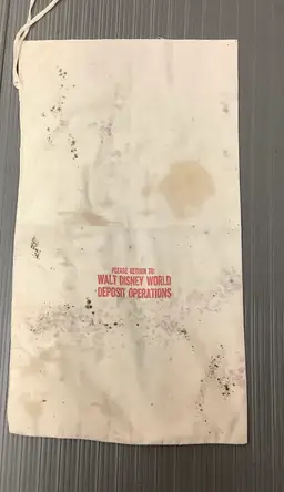 Disney Financial Operations Bag