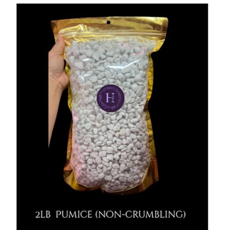 Two pounds Pumice (substrate amendment)