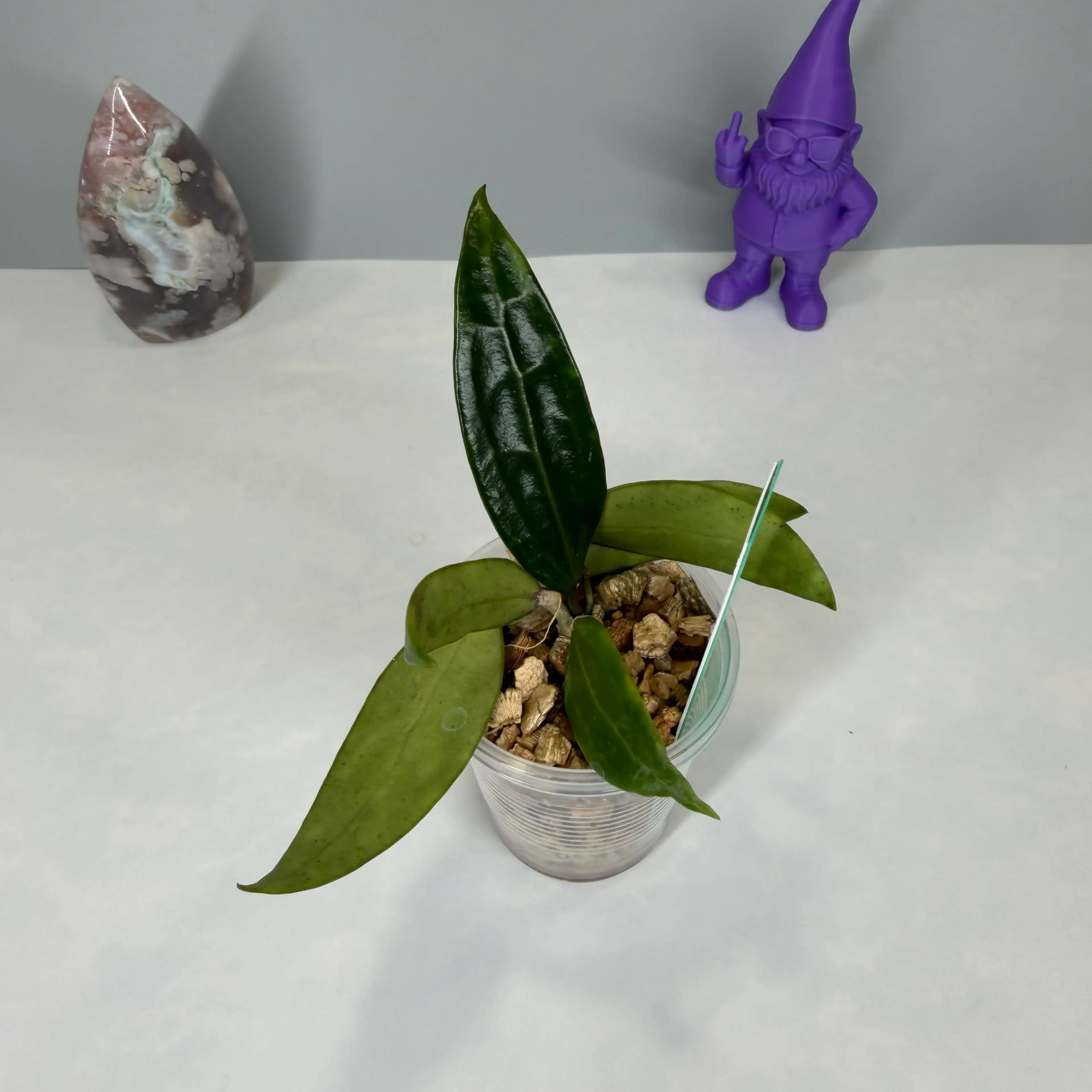 Image 2 of 4