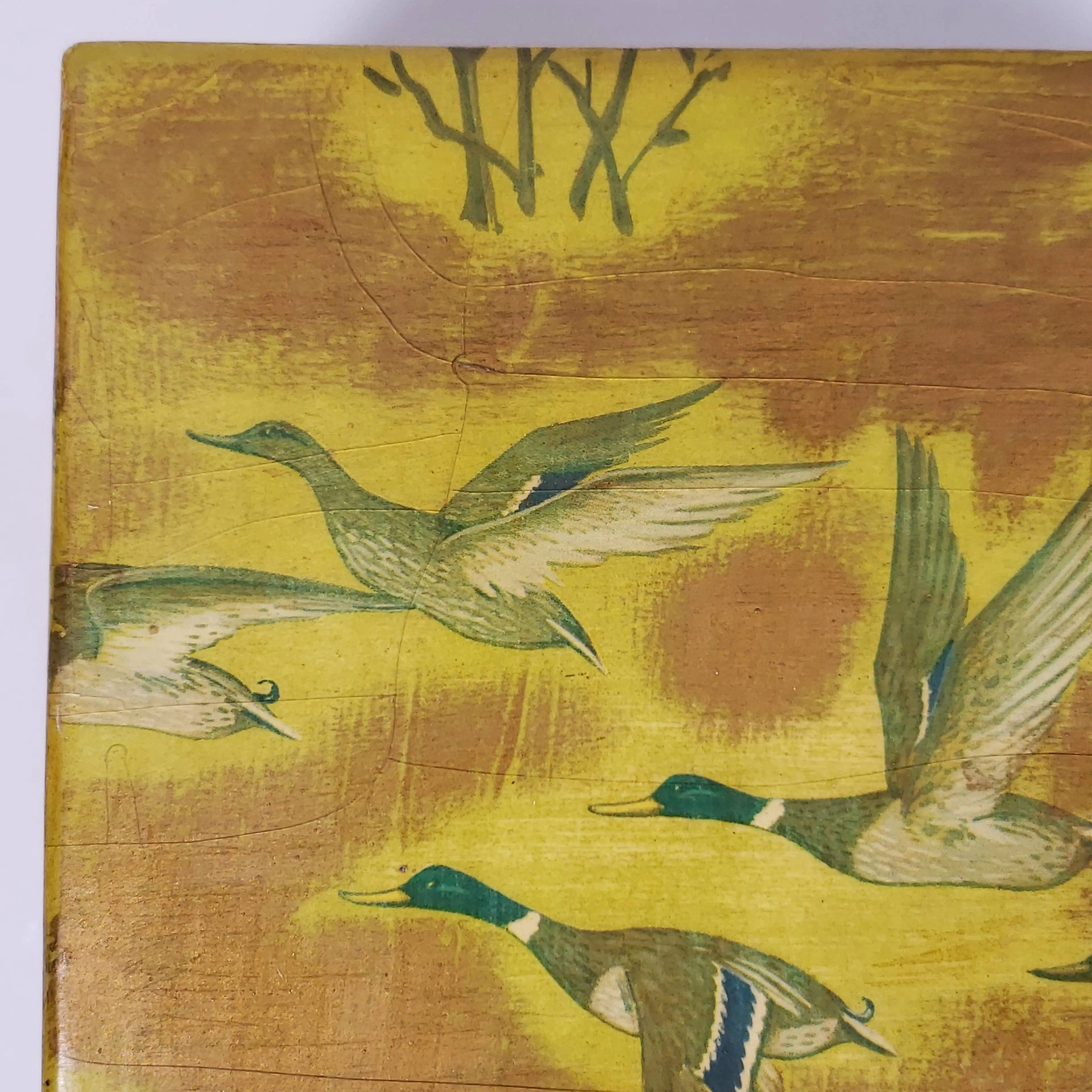 Image 3 of 20