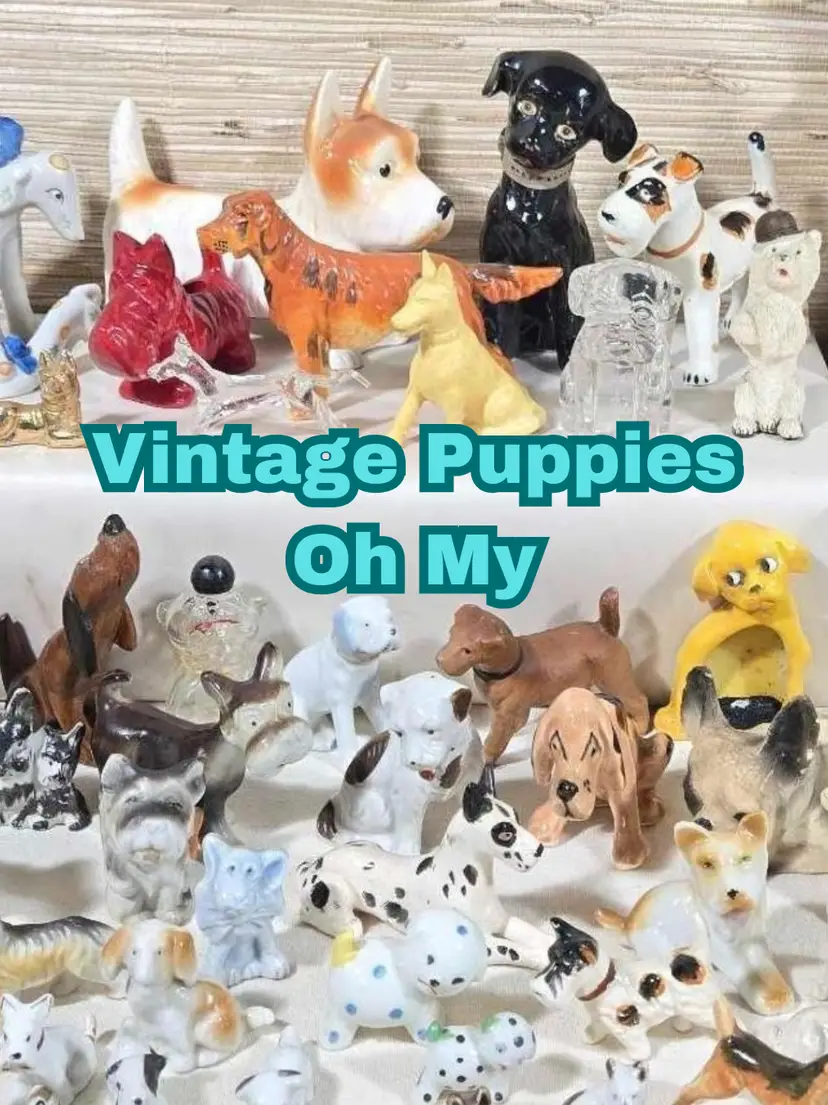 Livestream thumbnail
