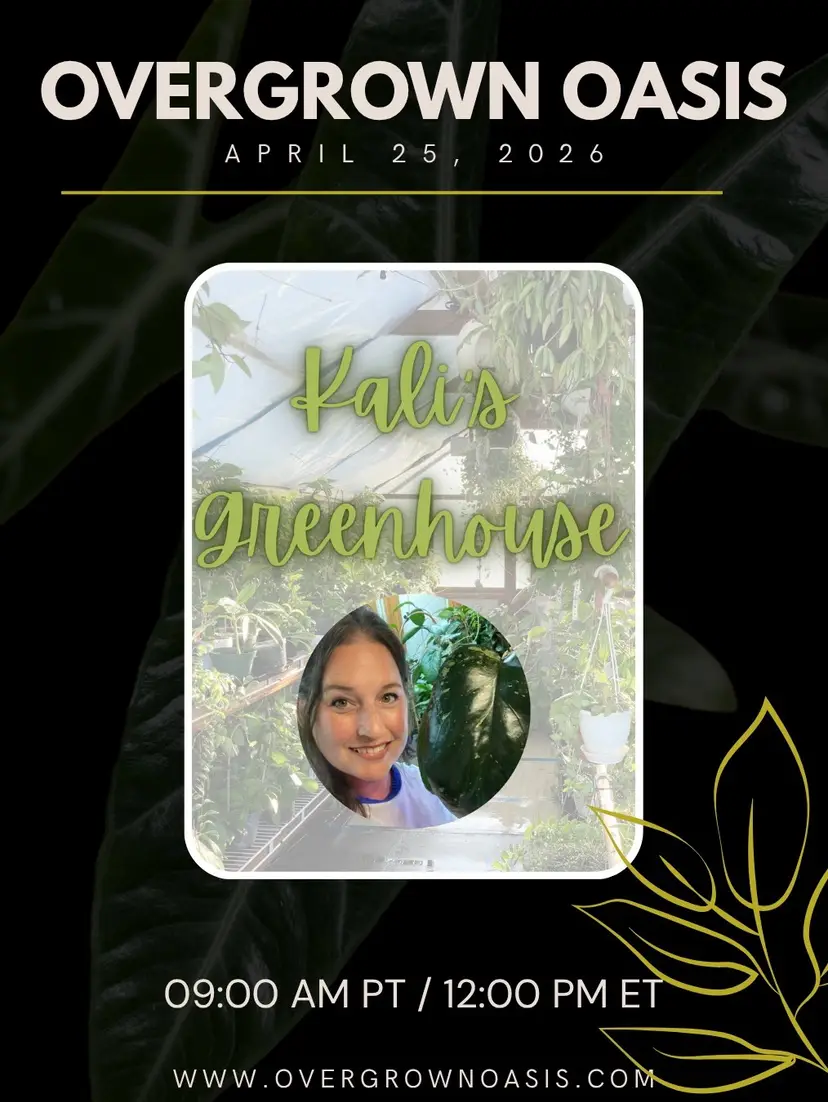 Livestream thumbnail